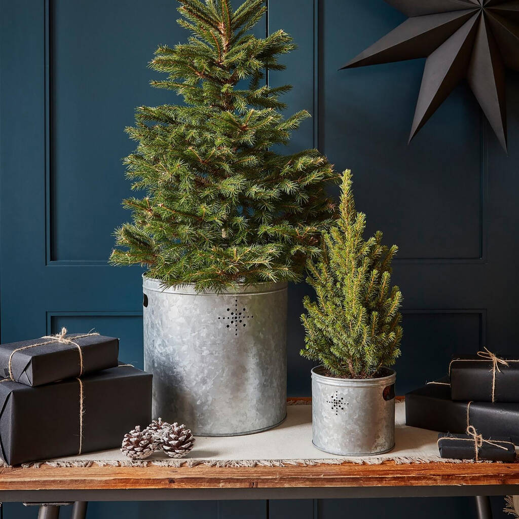 Zinc Christmas Tree Bucket Planter 2022 By Lime Lace