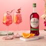 Gin And Summer Spritz Hamper, thumbnail 3 of 11