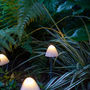 12 Mini Mushroom Solar Stake Lights, thumbnail 3 of 4