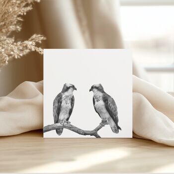 Osprey Perched Wildlife Greeting Card, 3 of 6