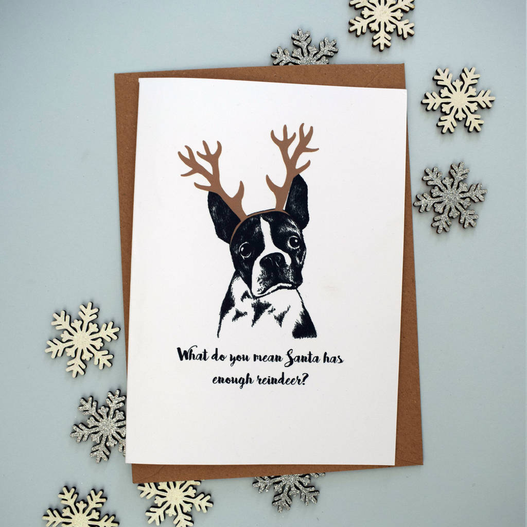 Pack Of Four Christmas Dog Cards By Highland Jungle | notonthehighstreet.com