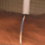Minimal Silver 3mm Cuff Summer Waves Bracelet, thumbnail 2 of 2