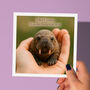 Personalised 'Mini Walrus In Palm' Teacher Card, thumbnail 1 of 5