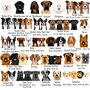 Premium Dog Breed Realistic Illustrations Heart ID Tag, thumbnail 3 of 11