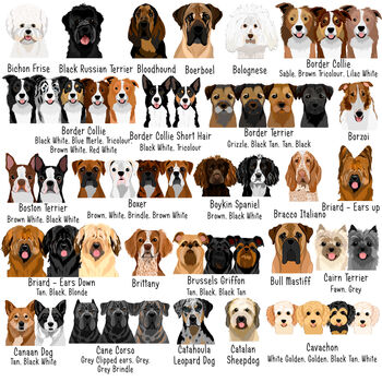 Premium Dog Breed Realistic Illustrations Heart ID Tag, 3 of 11