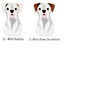 Boxer Personalised Dog Name ID Tag, thumbnail 3 of 11