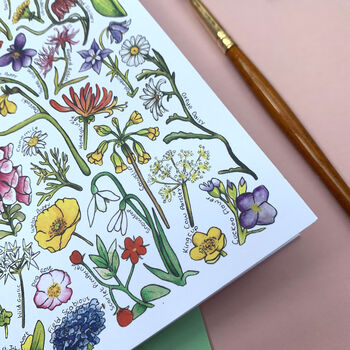 Wildflowers Of Britain Art Blank Greeting Card, 11 of 12