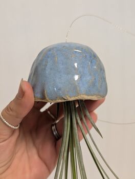 Ceramic Shell Jellyfish Air Plant Gift For Plant Lover, 9 of 12