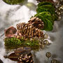 Woodland Sparkle Natural Christmas Garland, thumbnail 3 of 6