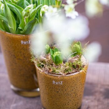 Conic Vase Thick Glass With Bubbles By Dut Z, 8 of 8