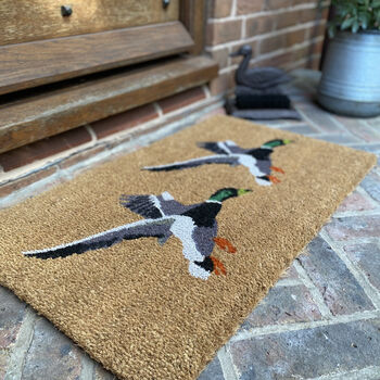Flying Duck Doormat And Boot Brush Set, 4 of 8