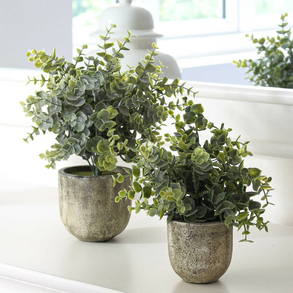 Faux Eucalyptus Plant In Pot By Marquis & Dawe