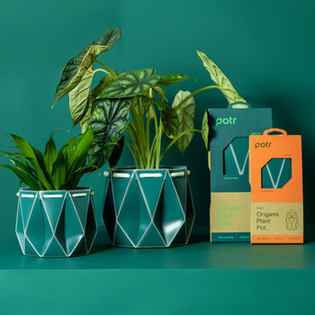 Two Origami Self Watering Eco Plant Pots, 6 of 12