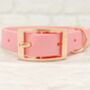 Waterproof Dog Collar And Lead Set Baby Pink, thumbnail 2 of 3