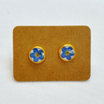 Real Forgetmenot Flowers Stud Earrings Waterproof Hypoallergenic Two Sizes, 2 of 8