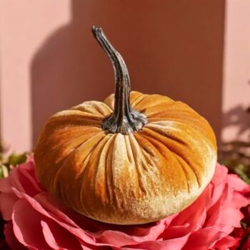 Autumn And Halloween Decor 15cm Velvet Pumpkins Free Lights, 10 of 10