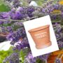 Rosemary Herb Set, thumbnail 6 of 6