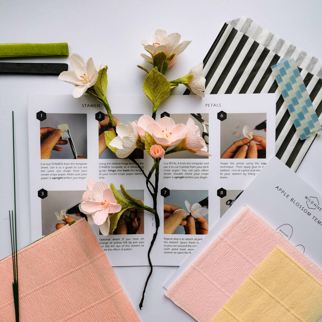 Paper Flower Kit: Blossom