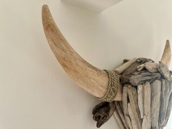 61cm Driftwood Bull Head With Horns Wooden Wall Decor, 2 of 9