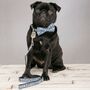 The Salcombe Blue Nautical Dog Collar Bow Tie And Lead Set, thumbnail 4 of 7