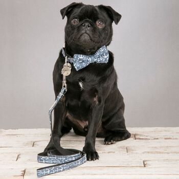 The Salcombe Blue Nautical Dog Collar Bow Tie And Lead Set, 4 of 7