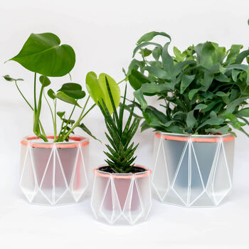 Origami Self Watering Eco Plant Pot: 18cm | Coral Cord, 7 of 7