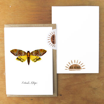 Death's Head Hawkmoth A6 Greetings Cards, 3 of 7