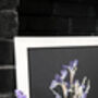 A3 Pressed Flower Art – Twilight Iris Botanical Frame In Sand, thumbnail 3 of 7
