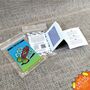 Grow Your Own Cock And Balls, 40 Chilli Pepper Seeds, Rude Gift, Hen Party Gift, Funny Pride Present, thumbnail 2 of 9