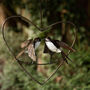 Recycled Metal Love Heart Swallows, thumbnail 1 of 2