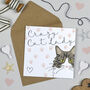 Crazy Cat Lady Card, Multiple Cat Designs, thumbnail 6 of 9