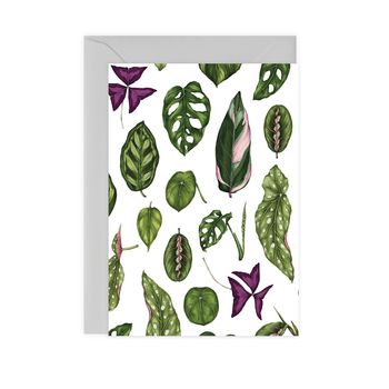 Houseplants Botanical Card, 2 of 2