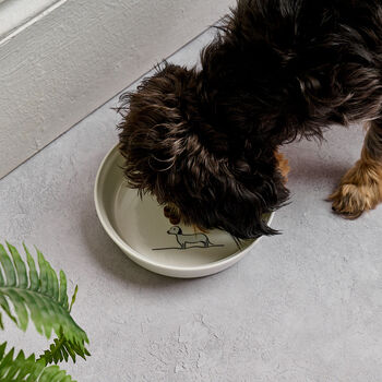 Dog Bowl With Sausage Dog, 3 of 5