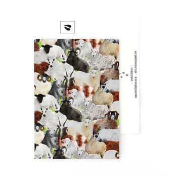 Flock Of Sheep Print Postcard, 2 of 6