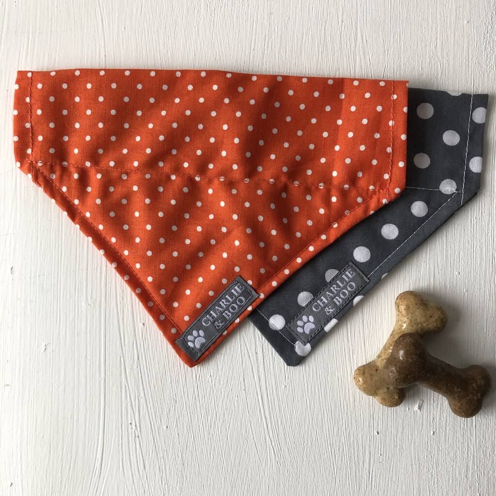 dog bandana orange