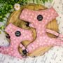 Dusky Pink Daisies Floral Dog Harness, thumbnail 1 of 9