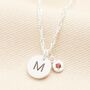 Personalised Sterling Silver Initial Disc And Family Birthstone Charm Necklace, thumbnail 2 of 3