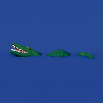 Create Your Own Crafty Crocodile, 3 of 5