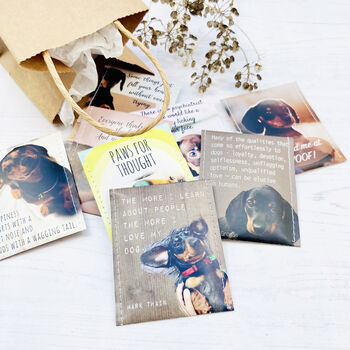 Sausage Dog Gifts: Dachshund Lovers Tea Gift Set, 6 of 12