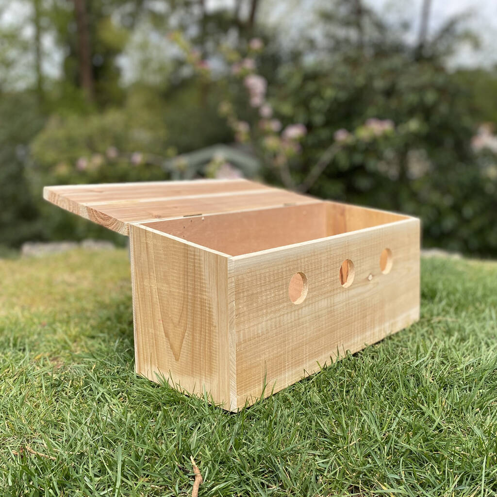 Sparrow Colony Wooden Nesting Box By Garden Selections 2998