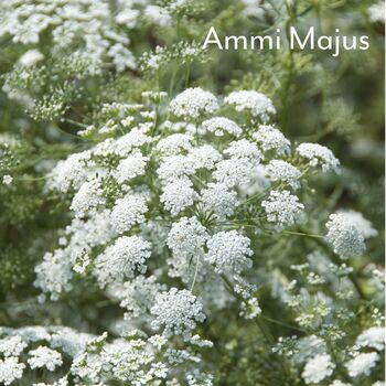 Luxury Gardening Gift Set With Journal And Gloves – Personalised Birthday / Retirement Gift For Her, 11 of 12