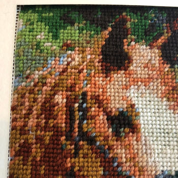 Stitch Your Own Personalised Tapestry Of Your Horse, 2 of 4