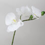 Marble Potted Artificial Orchid Two Sizes, thumbnail 4 of 5