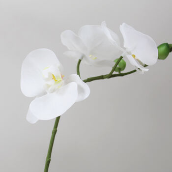Marble Potted Artificial Orchid Two Sizes, 4 of 5