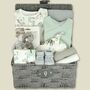 Animal Adventures New Baby Gift Set Hamper, thumbnail 1 of 8