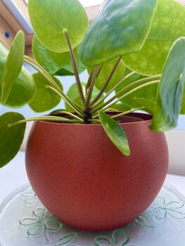 3D Printed Minimalist Round Plant Pot – Lightweight And Durable, 4 of 8