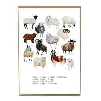 Flock Of Sheep Art Print, 6 of 8
