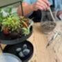 Carnivorous Plant Terrarium Workshop For Two, Manchester, thumbnail 2 of 11