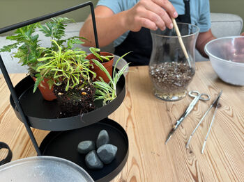 Carnivorous Plant Terrarium Workshop For Two, Manchester, 2 of 11