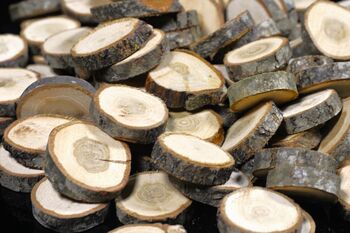 Oak Wood Slices 1kg, 3 of 3